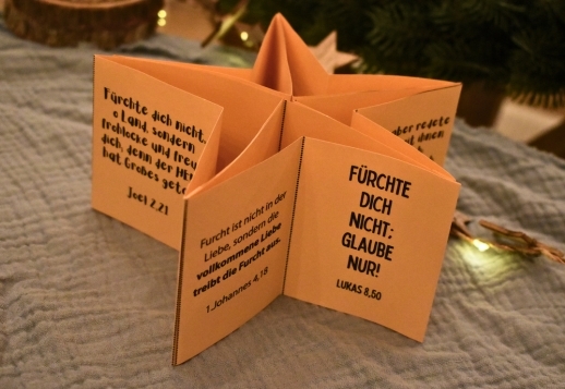 Meisterdamine. Piiblisalmi-t&auml;ht Vorschau