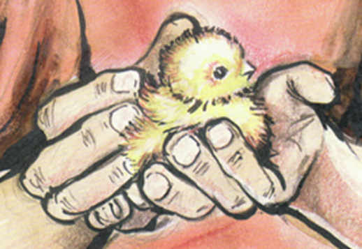 Kuuldem&auml;ng. Tulet&otilde;rjeauto sireen farmi juures Vorschau